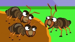 انیمیشن خانواده شیر قسمت 279 - lion family